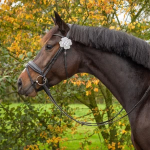 QHP Number holder Clover - Silver in Silver