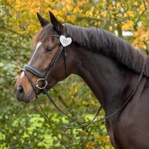 QHP Number holder Heart - Silver in Silver