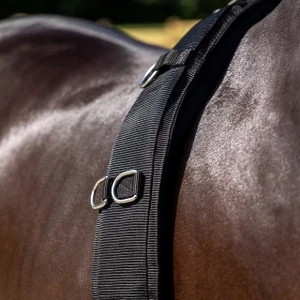 QHP Lunging girth Padded - Black in Black