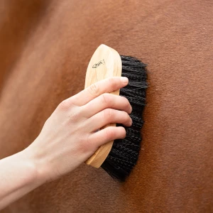 QHP Dandy brush magnet - Black in Black