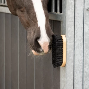 QHP Dandy brush magnet - Black in Black