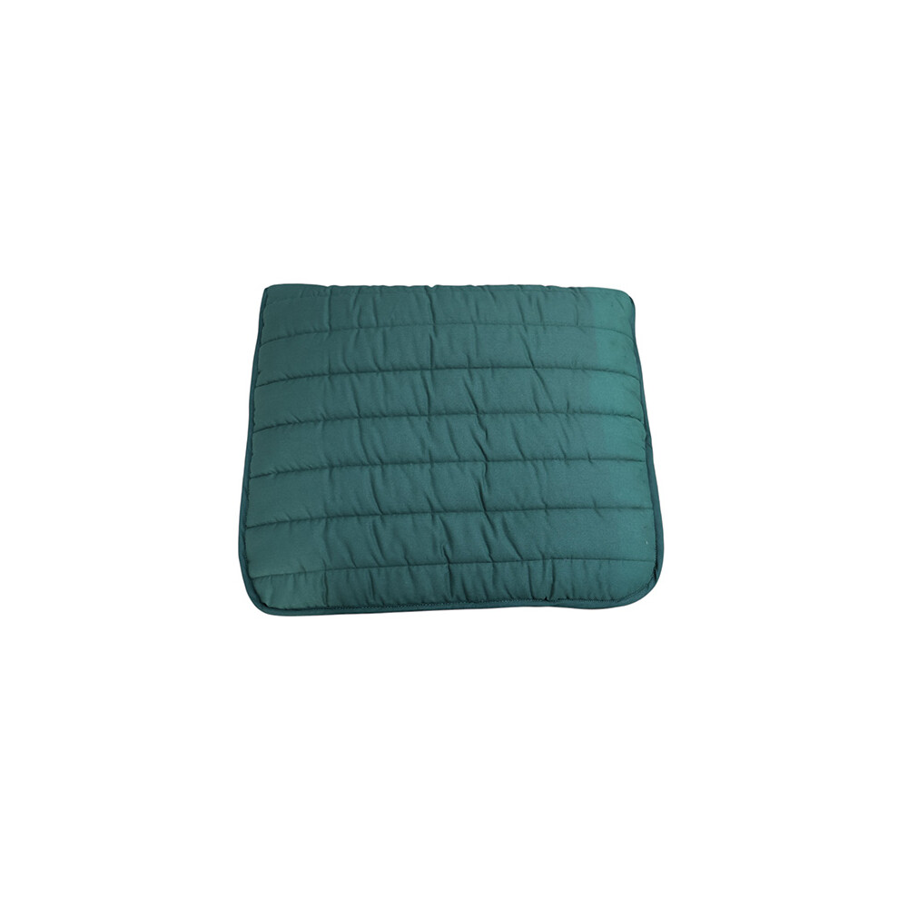 Equisential Equi-Sential Comfort Pad - Green in Green