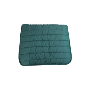 Equisential Equi-Sential Comfort Pad - Green in Green