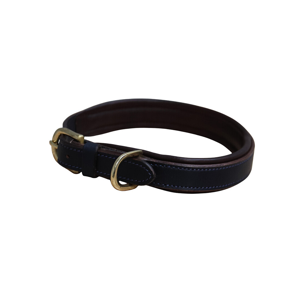 Mackey Equestrian Mackey Padded Leather Dog Collar - Navy/Brown
