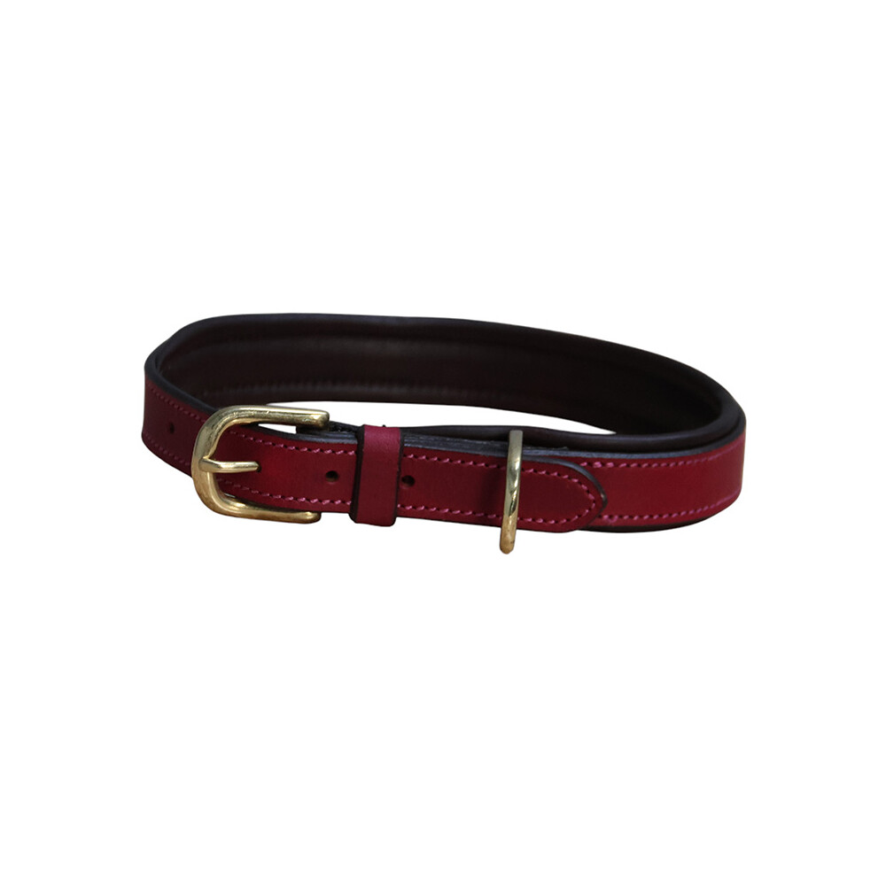 Mackey Equestrian Mackey Padded Leather Dog Collar - Mulberry/Brown in Mulberry/Brown