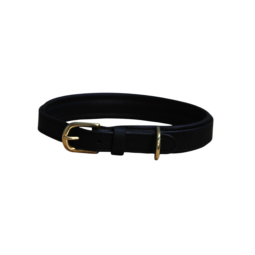 Mackey Equestrian Mackey Padded Leather Dog Collar - Black in Black