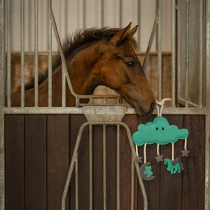 QHP Horse toy Novy - Green 