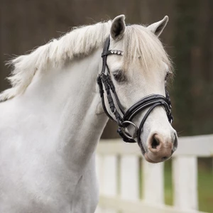 QHP Bridle Bixie - Silver in Silver