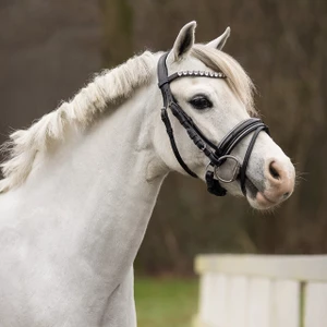 QHP Bridle Bixie - Silver in Silver