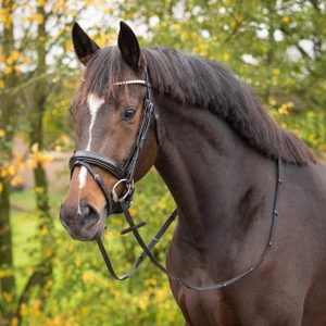 QHP Bridle Sunset - Black in Black
