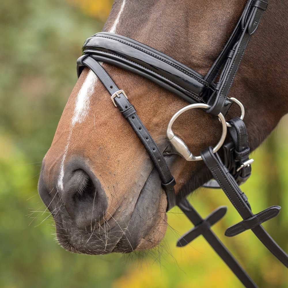 QHP Bridle Sunset - Black