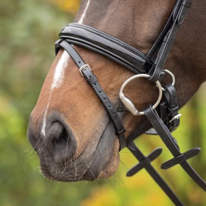 QHP Bridle Sunset - Black in Black
