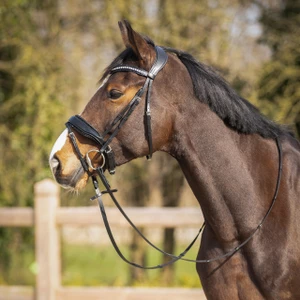 QHP Bridle Skye - Black in Black