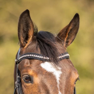 QHP Bridle Skye - Black in Black