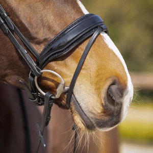 QHP Bridle Skye - Black in Black