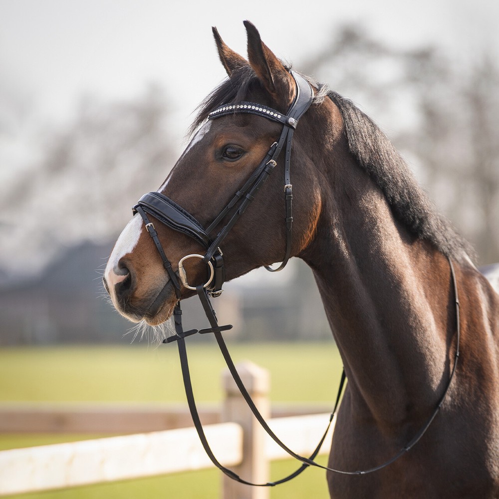 QHP Bridle Skye - Black