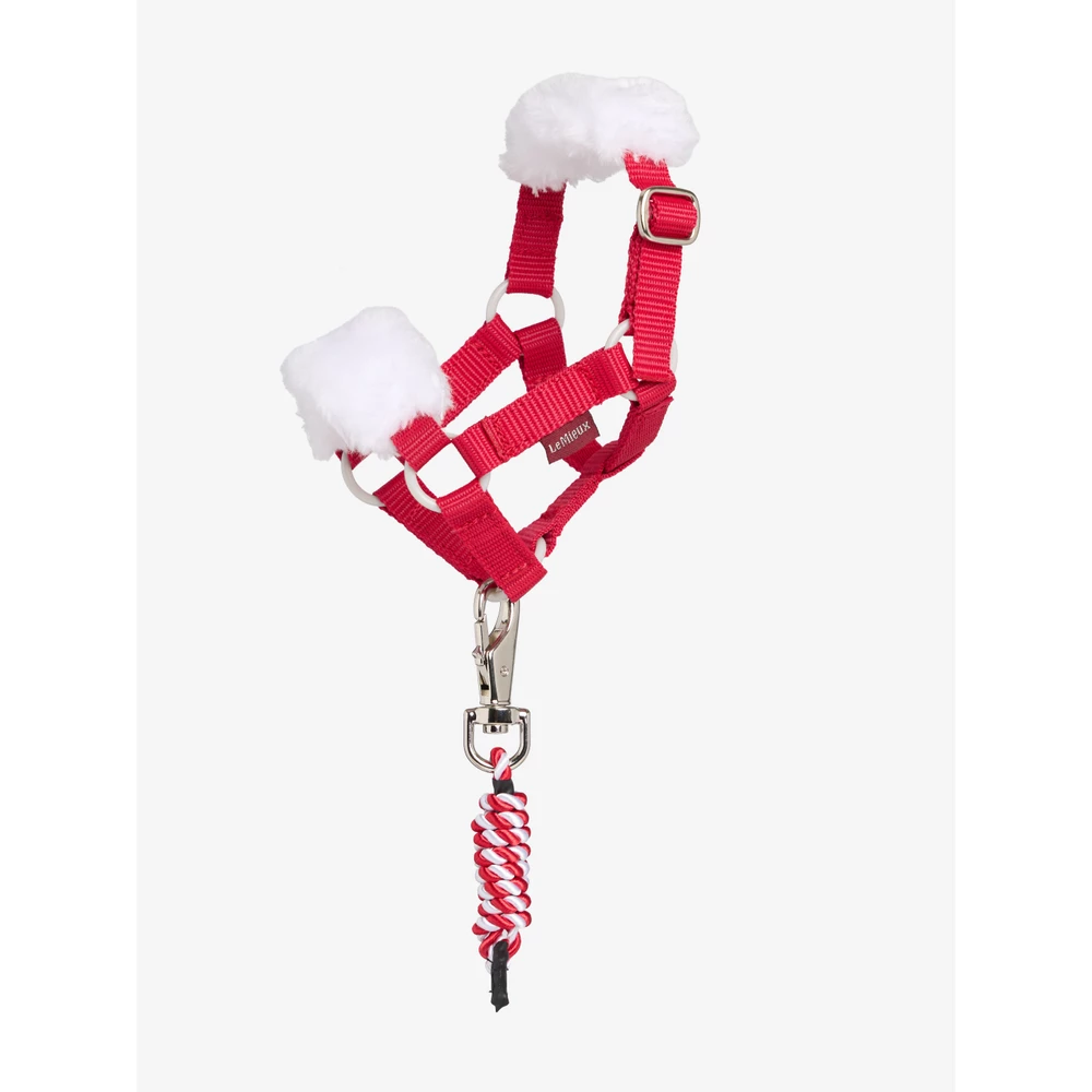 LeMieux Toy Pony Christmas Headcollar & Leadrope - Red in Red