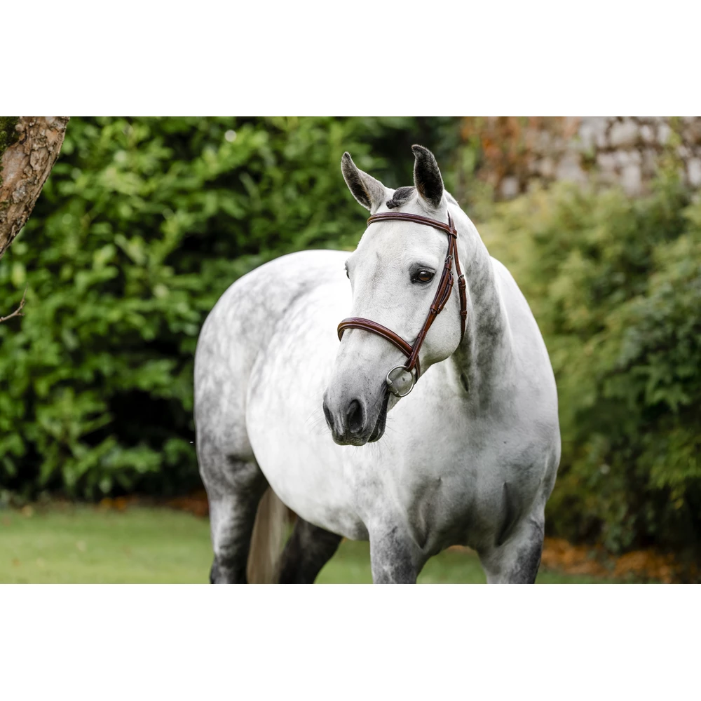 Horseware Hunter Cavesson Bridle w/reins - Brown in Brown