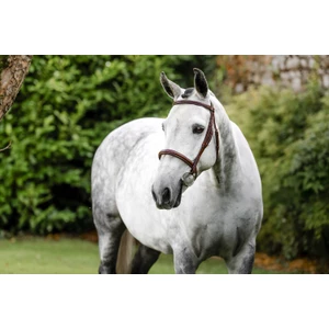 Horseware Hunter Cavesson Bridle w/reins - Brown in Brown