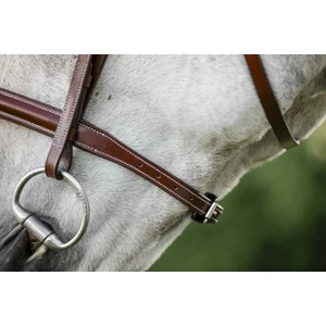 Horseware Hunter Cavesson Bridle w/reins - Brown 