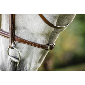 Horseware Hunter Cavesson Bridle w/reins - Brown in Brown
