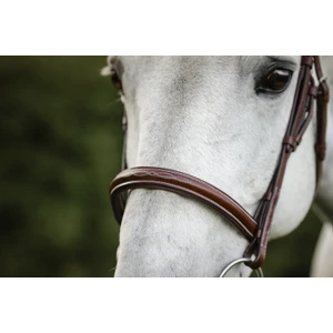 Horseware Hunter Cavesson Bridle w/reins - Brown in Brown