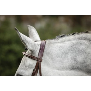 Horseware Hunter Cavesson Bridle w/reins - Brown in Brown