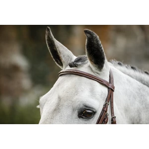 Horseware Hunter Cavesson Bridle w/reins - Brown in Brown
