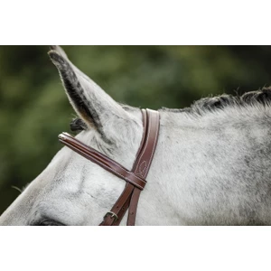 Horseware Hunter Cavesson Bridle w/reins - Brown in Brown
