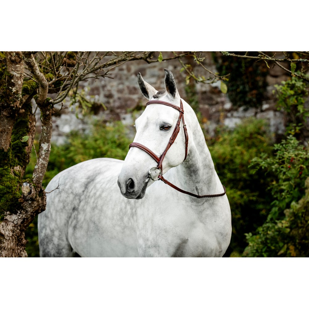 Horseware Hunter Cavesson Bridle w/reins - Brown 