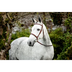Horseware Hunter Cavesson Bridle w/reins - Brown in Brown