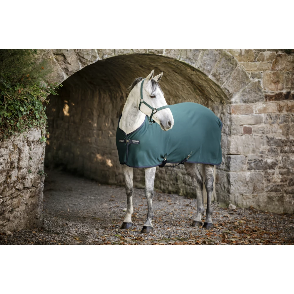 Horseware Amigo Amigo Jersey Cooler - Dynasty Green/Navy & Silver in Dynasty Green/Navy & Silver