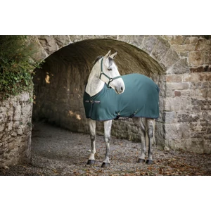 Horseware Amigo Amigo Jersey Cooler - Dynasty Green/Navy & Silver in Dynasty Green/Navy & Silver