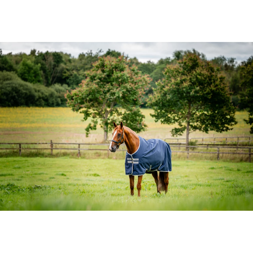Horseware Amigo Amigo Ripstop 900D Turnout 200g - Navy/Titanium Grey in Navy/Titanium Grey