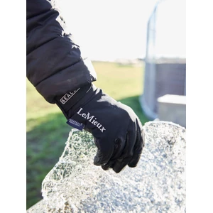 LeMieux x Sealskinz Waterproof Glove  - Black 