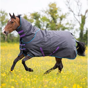 Tempest Original 300 Turnout Rug & Neck Set - Black 