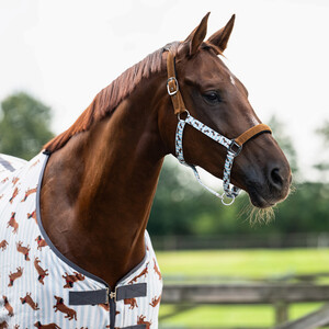 QHP Head collar set Stable buddy - Dachshund 