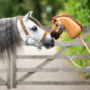 QHP Head collar set Stable buddy - Dachshund in Dachshund