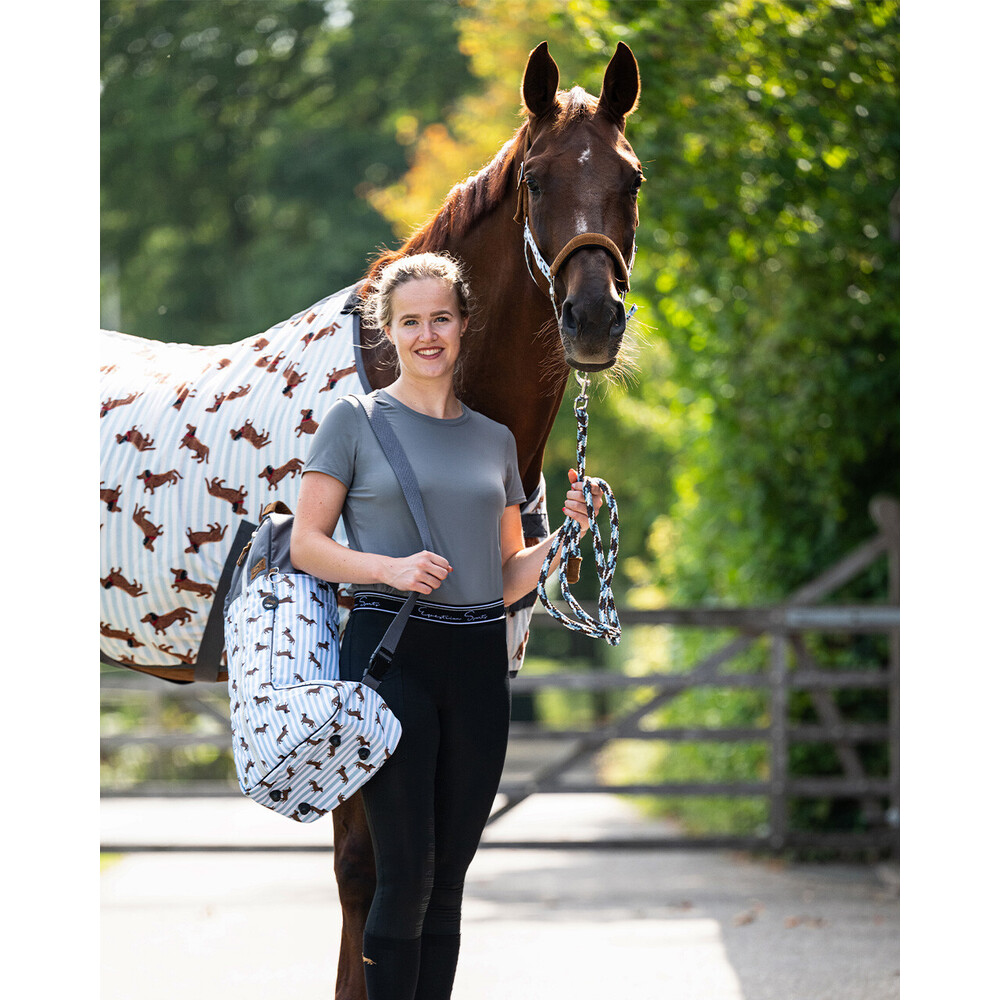 QHP Head collar set Stable buddy - Dachshund 