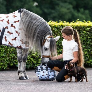QHP Grooming bag Stable buddy - Dachshund in Dachshund