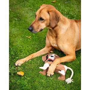 QHP Dog toy 3D Stable buddy - Beagle 