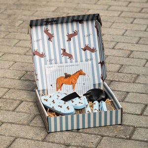 QHP Grooming set Stable buddy - Dachshund in Dachshund