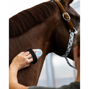 QHP Grooming set Stable buddy - Dachshund in Dachshund