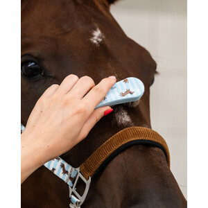 QHP Grooming set Stable buddy - Dachshund in Dachshund