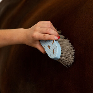 QHP Grooming set Stable buddy - Dachshund in Dachshund