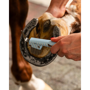 QHP Grooming set Stable buddy - Dachshund in Dachshund