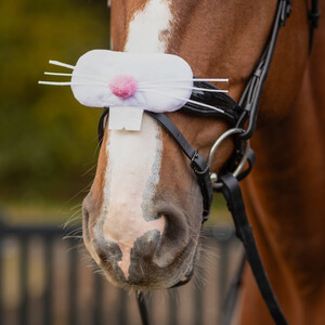 QHP Noseband accessory Easter - Bunny White 