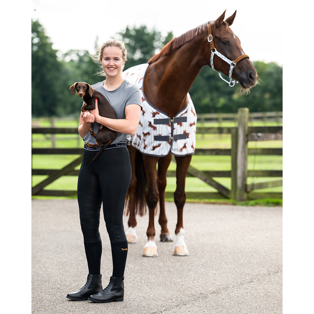 QHP Knee stockings gift box Stable buddy (2-pack) - Stable Buddy 