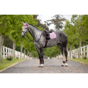 LeMieux Essence Close Contact Square - Fondant in Fondant