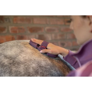 LeMieux Flexi Curry Comb - Powder Blue in Powder Blue